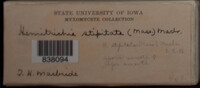 Image Associated With the Occurence
